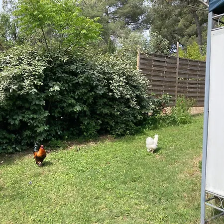 Chez Line Et Roland Campsite La Ciotat